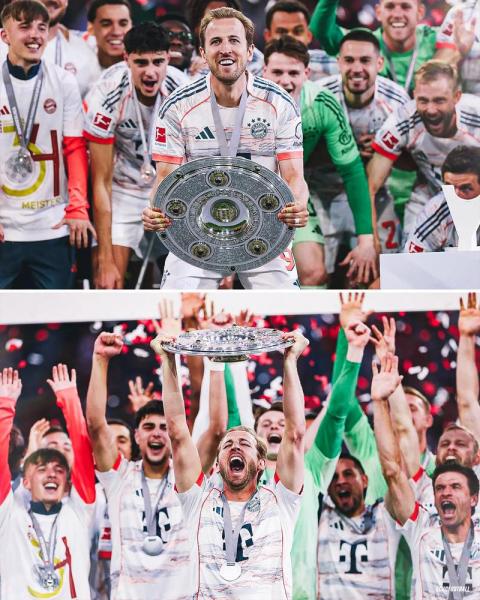 拜仁历届欧冠成绩，拜仁欧冠战绩及拜仁历年欧冠战绩？